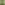 ECOO_2020_Ecolat-16-min.JPG